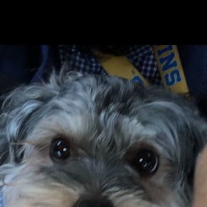 Meet your Posher, Jeff